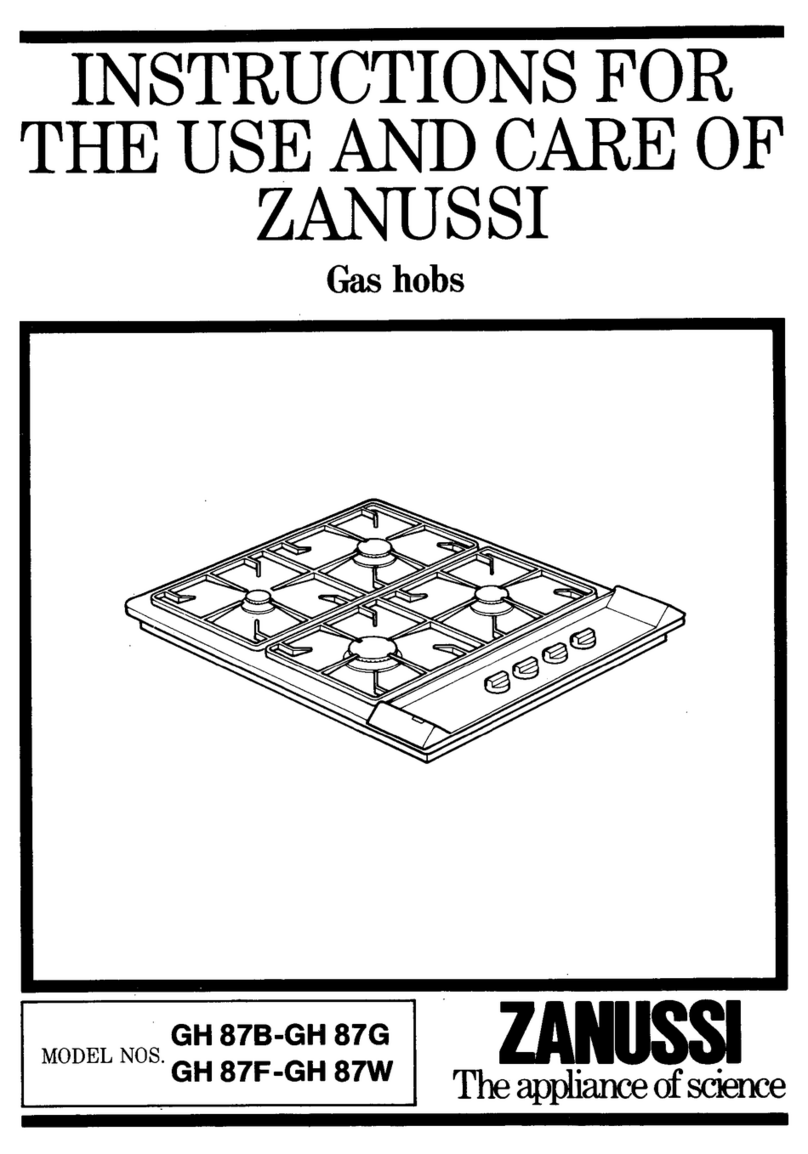Zanussi GH 87B-GH 87G User manual