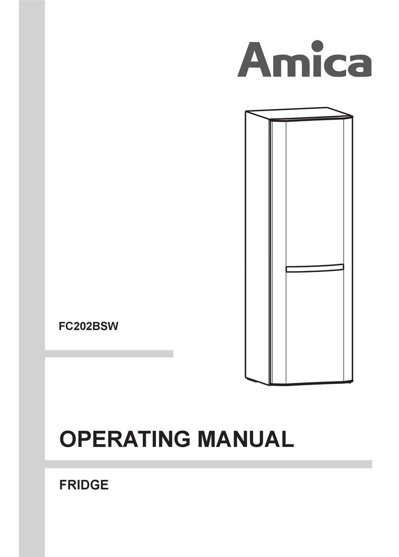 Amica FC202BSW User manual