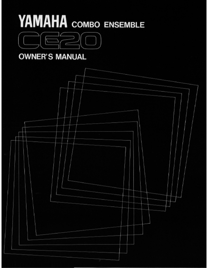 Yamaha CE20 owner's manual