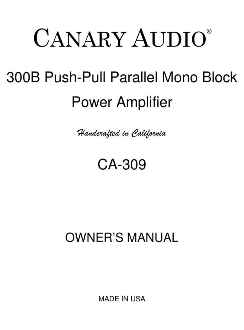 CANARY AUDIO CA-309 owner's manual