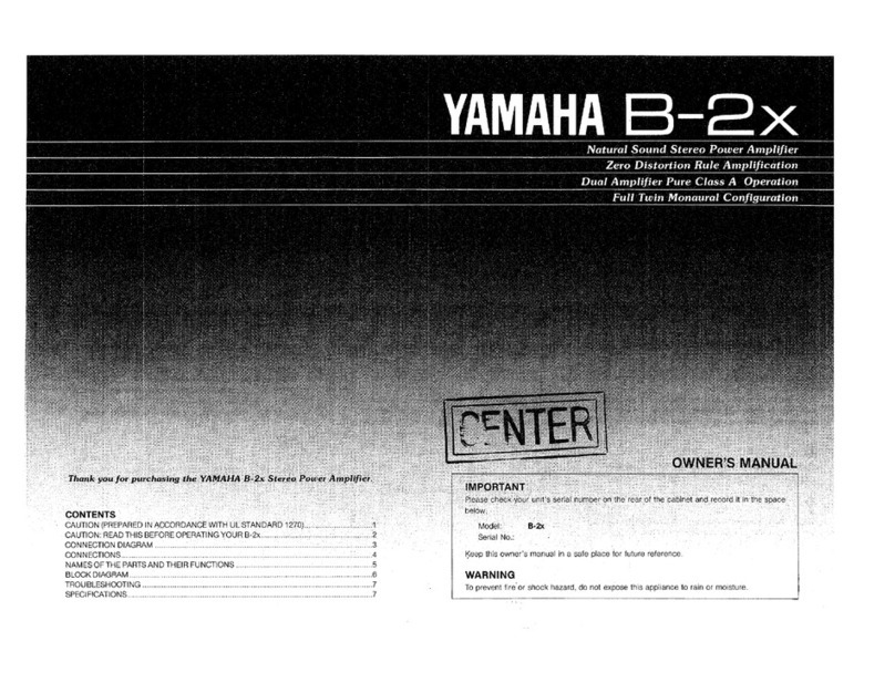 Yamaha B-2x owner's manual