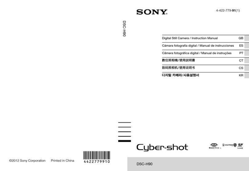 Sony DSC-H90 instruction manual
