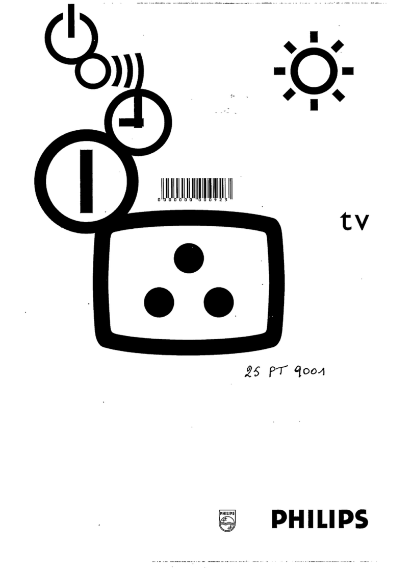 Philips 25PT9001 User manual