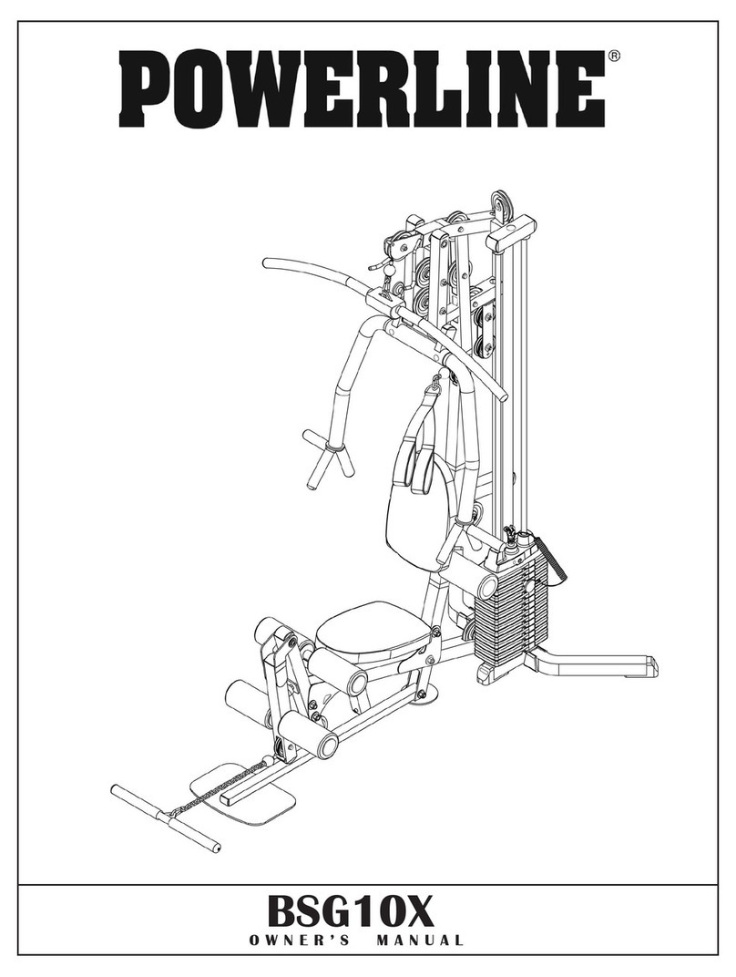 Powerline BSG10X owner's manual