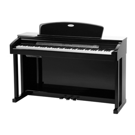 Classic Cantabile DP 99 user manual Classic Cantabile DP 99 user manual