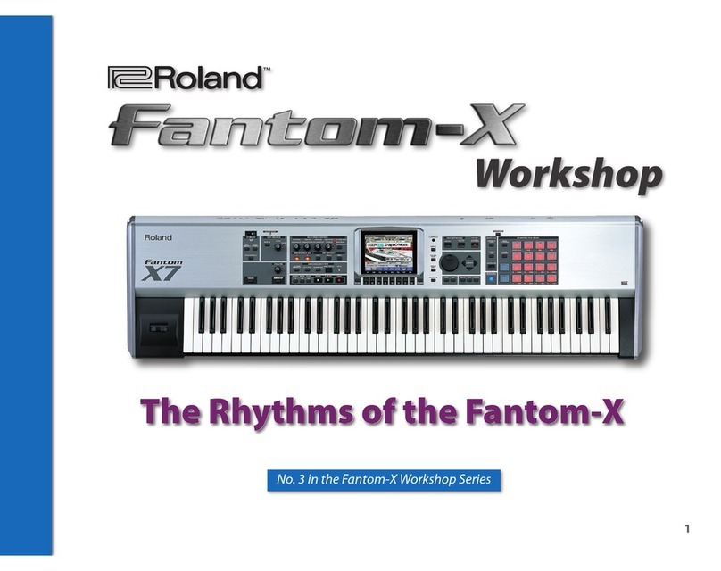Roland Fantom-X User manual