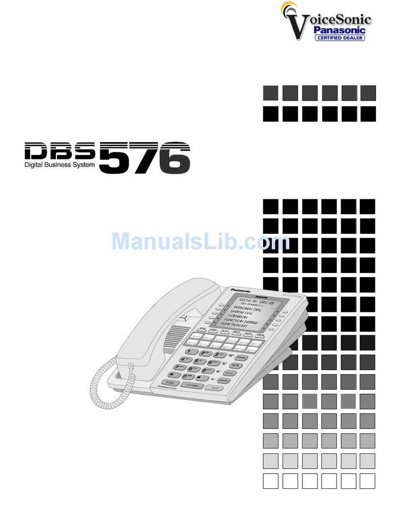 Panasonic DBS 576 Section 300 user guide