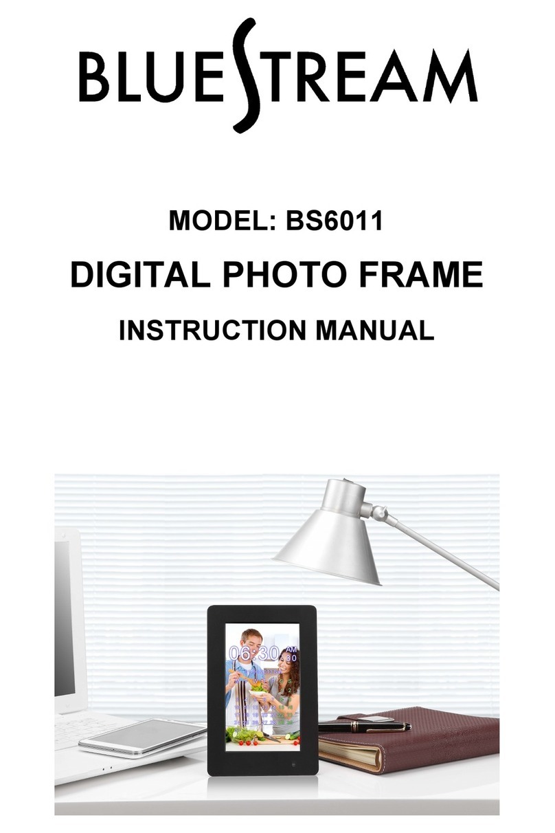 Bluestream BS6011 User manual
