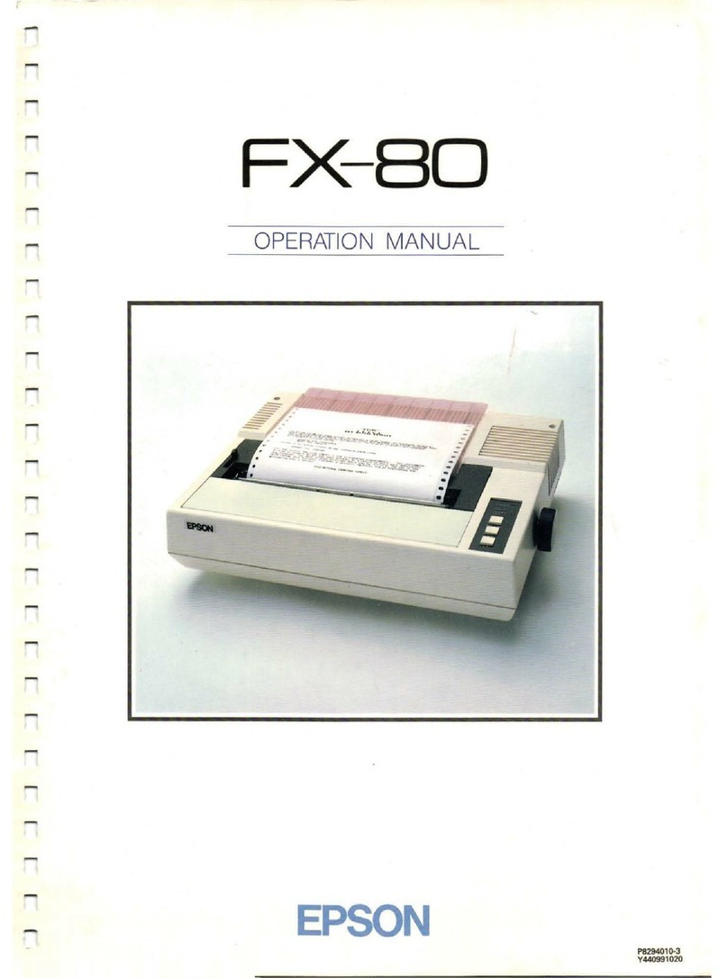 Epson FX-BO User manual