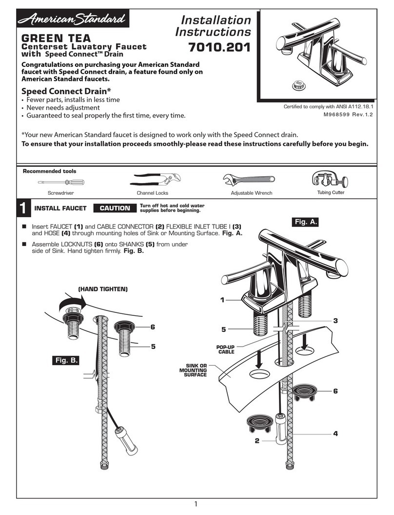American Standard GREEN TEA 7010.201 User manual
