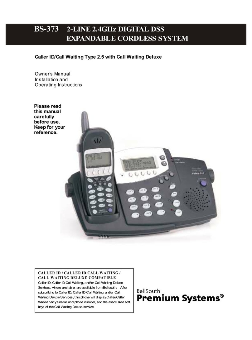 BellSouth Premium Systems BS-373 owner's manual