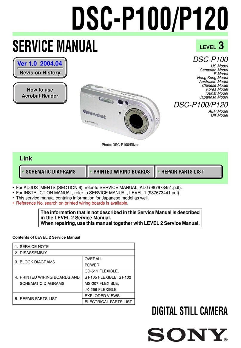 Sony Cyber-shot DSC-P100 User manual