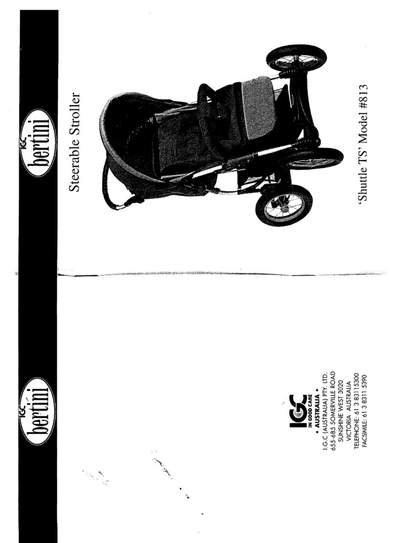 Bertini 813 user guide
