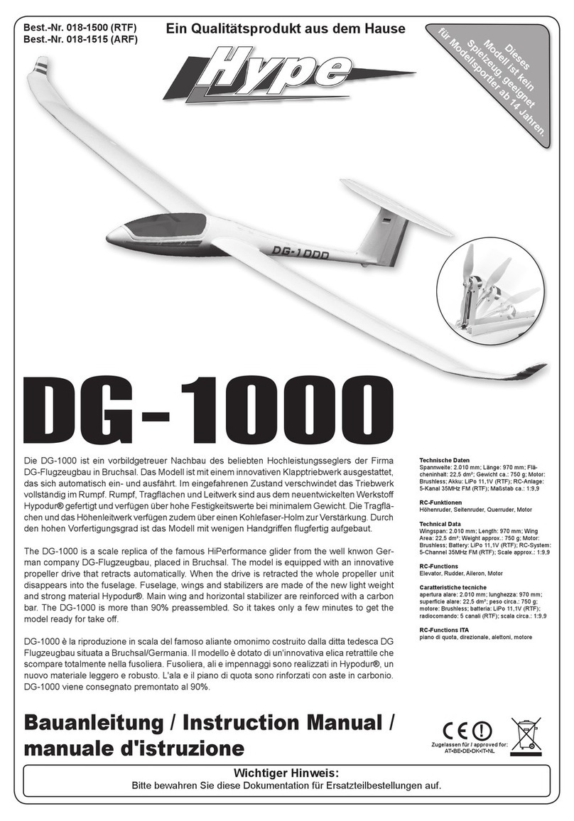 HYPE DG-1000 instruction manual