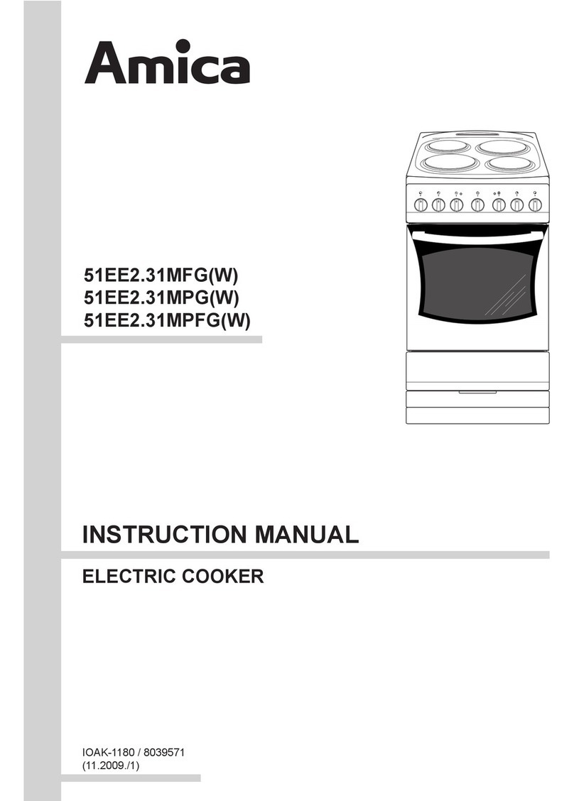 Amica 51EE2.31MFG User manual Amica 51EE2.31MFG User manual