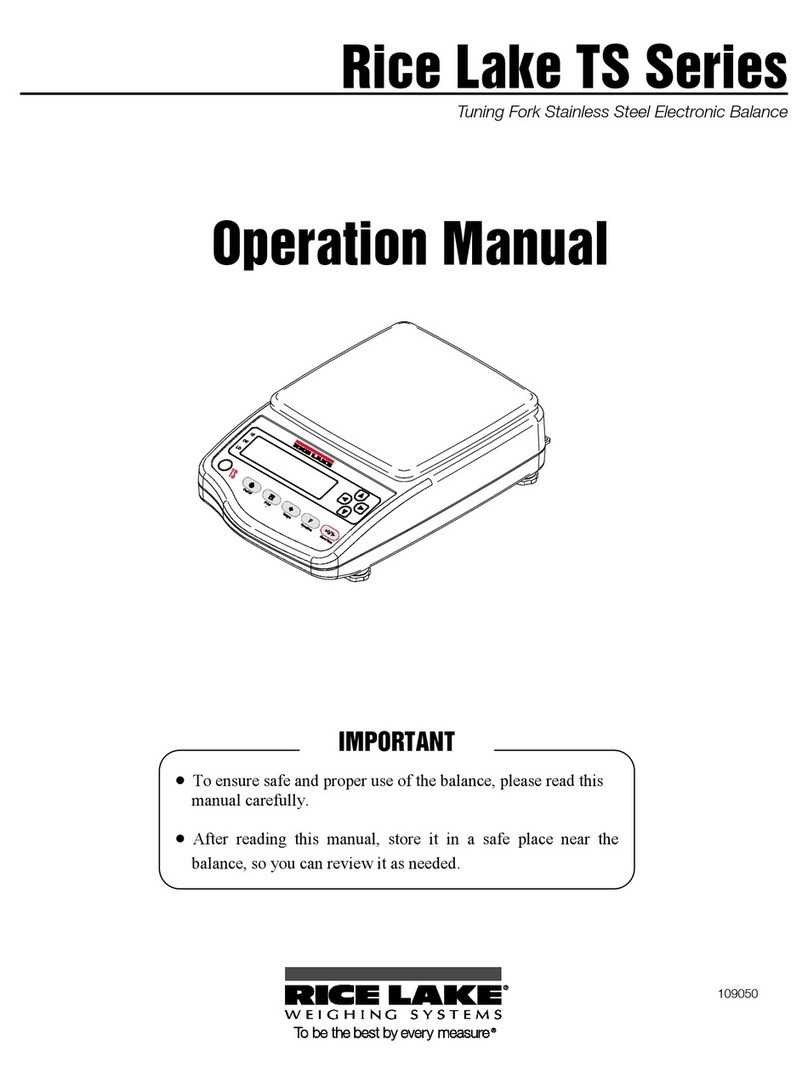 Rice Lake TS Series User manual