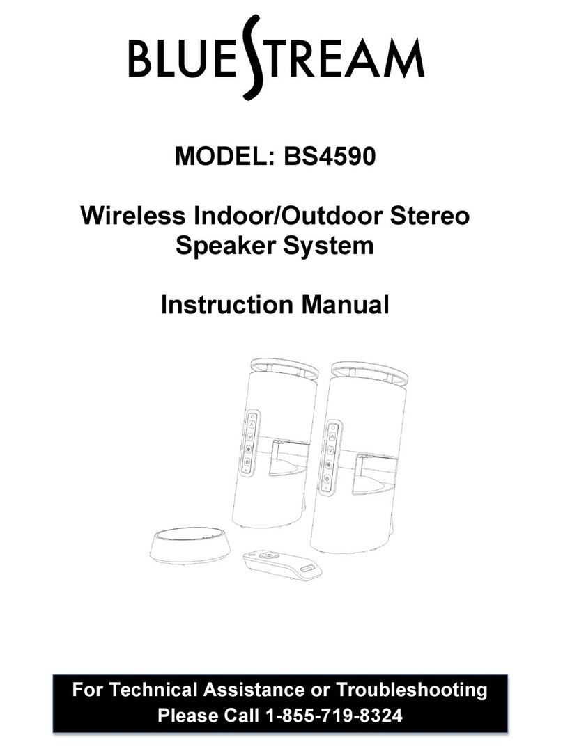 Bluestream BS4590 instruction manual
