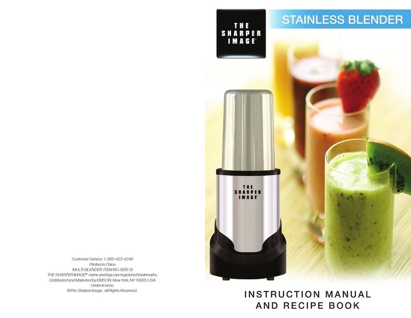 Sharper Image 8291 SI instruction manual