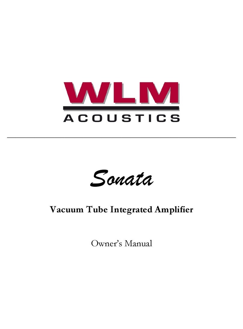 WLM Acoustic Sonata owner's manual