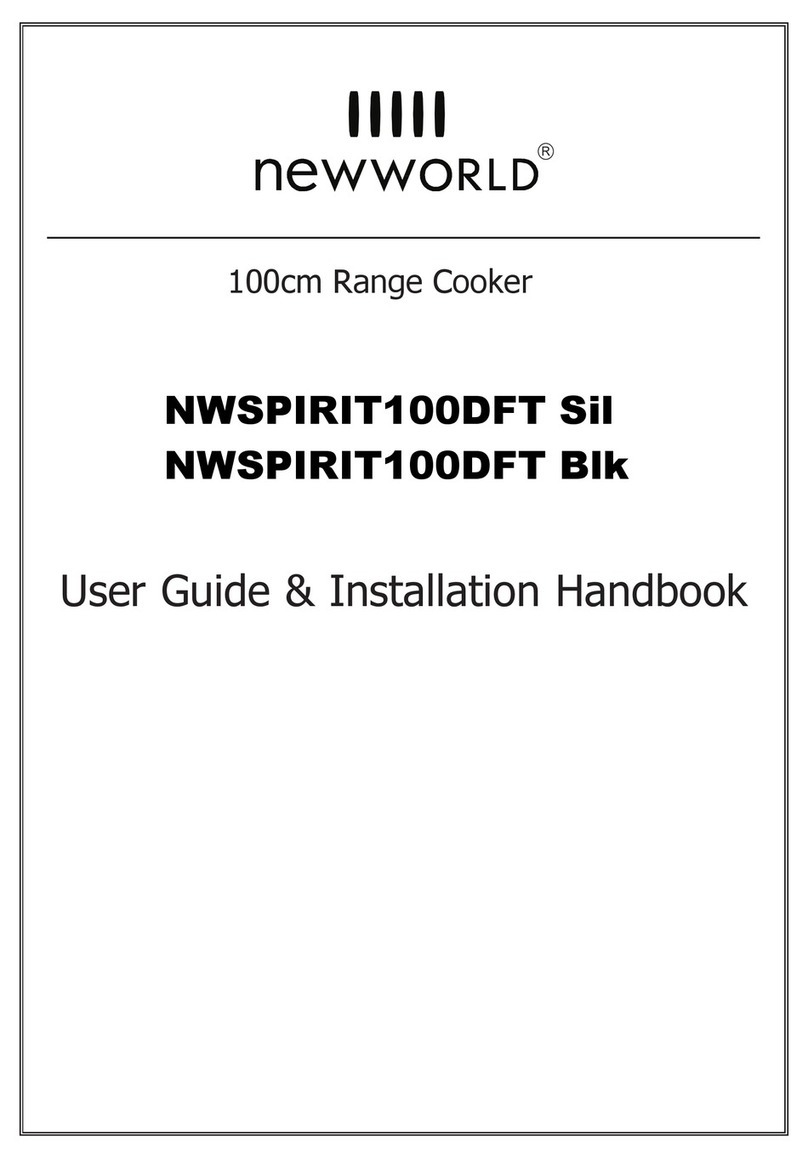 New World NWSPIRIT100DFT Sil Users guide & installation handbook
