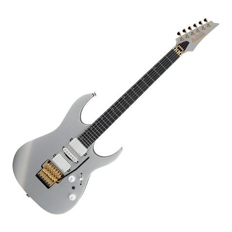 Ibanez Ibanez User manual