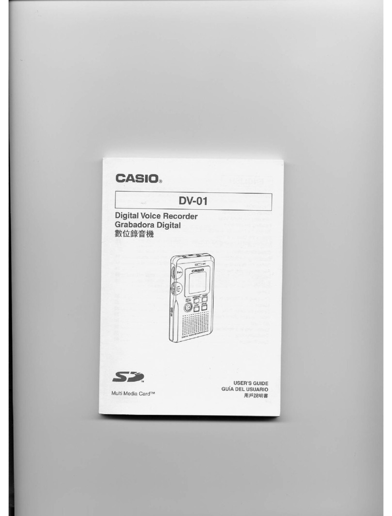 Casio DV-01 user guide