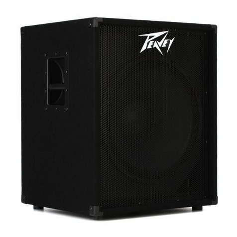 Peavey PV 118 D User manual