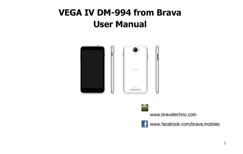 Brava DM-994 user manual