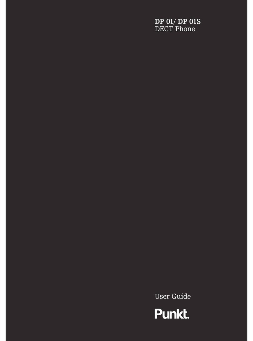 Punkt DP 01S user guide