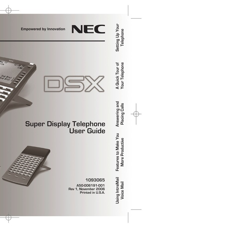 NEC DSX user guide