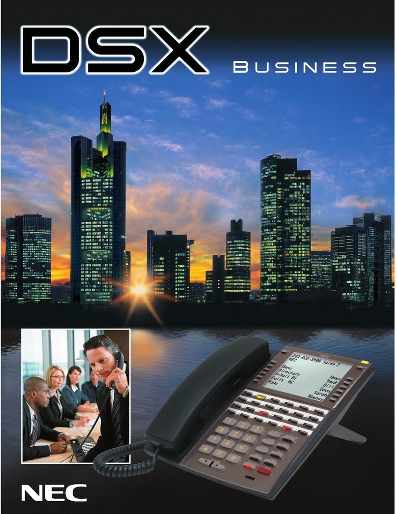NEC DSX brochure