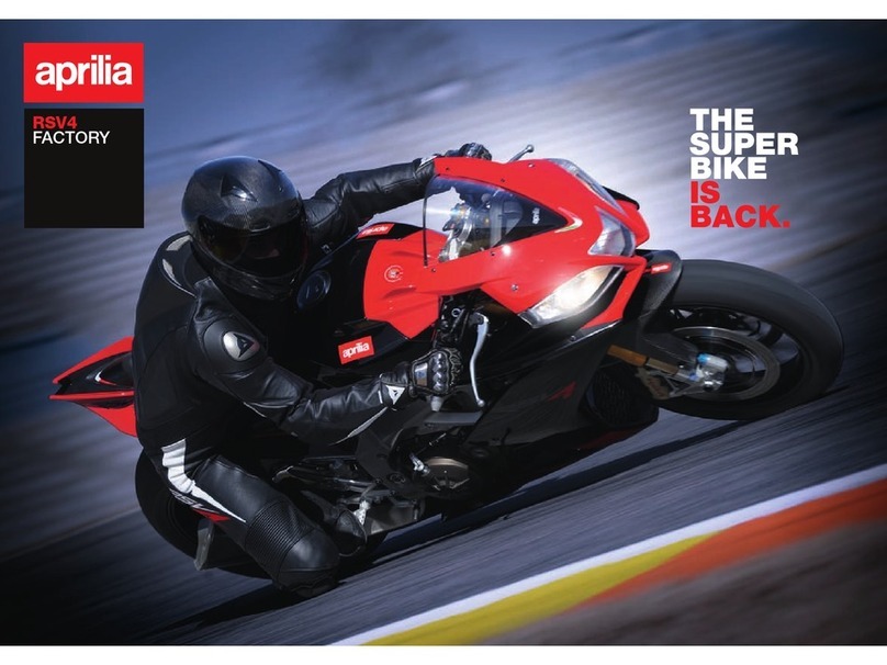 APRILIA RSV4 BROCHURE 2009 User manual