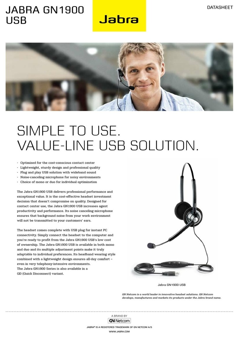 Jabra GN1900 USB datasheet