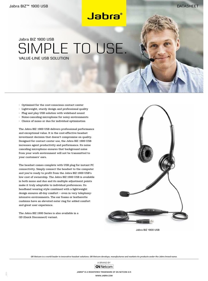 Jabra BIZ 1900 USB datasheet