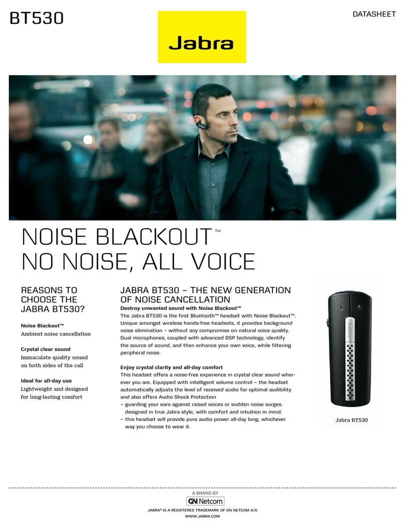 Jabra BT530 - TECHNISCHE DATEN datasheet