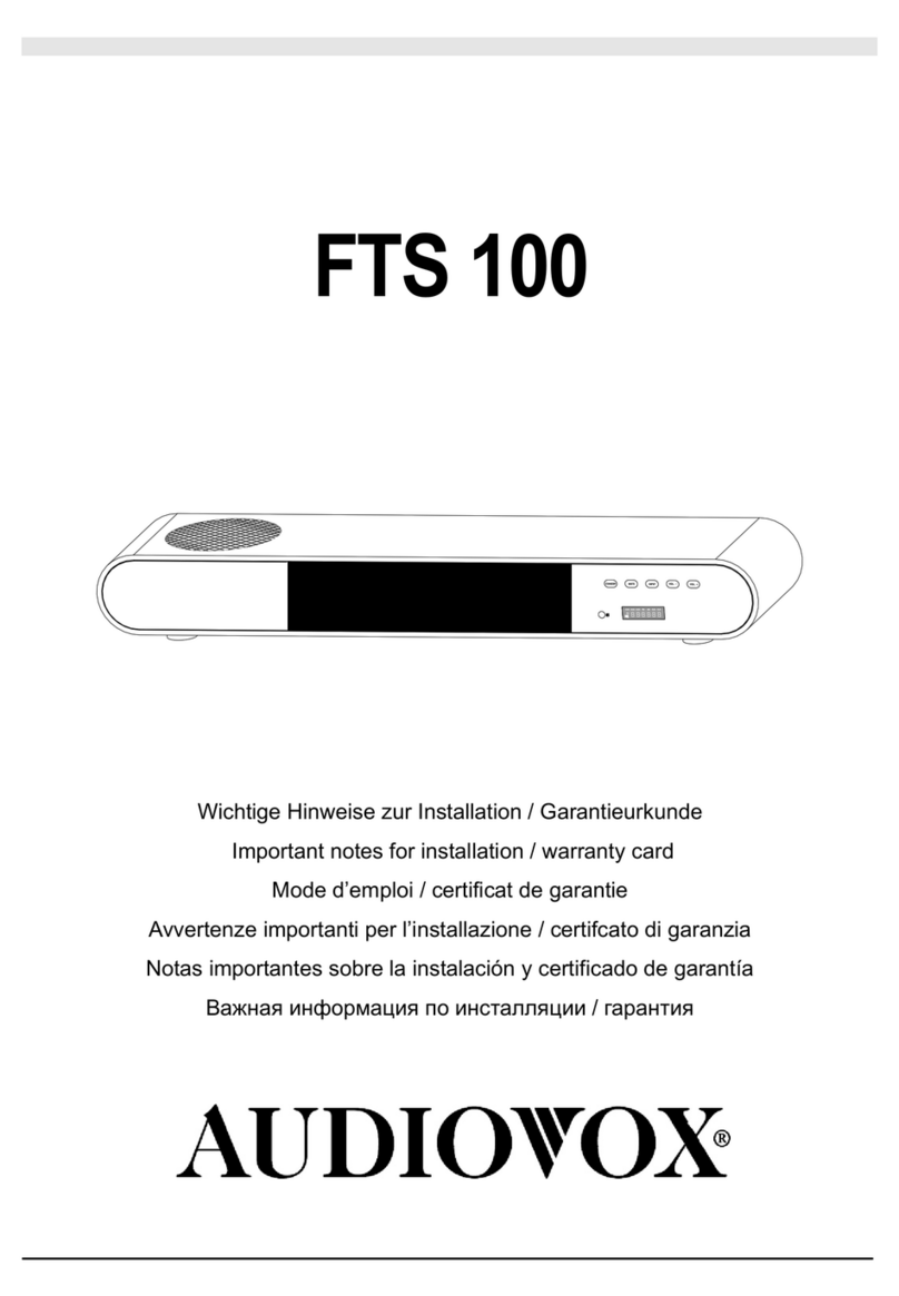 Audiovox FTS 100 manual