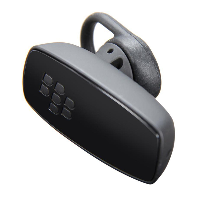 Blackbe;rry HS-300 Product information