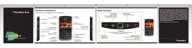 Blackbe;rry BOLD 9600 User manual