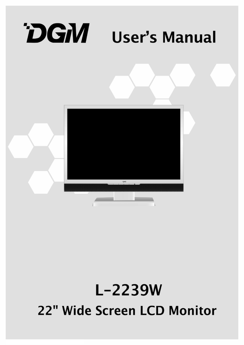 DGM L-2239W User manual