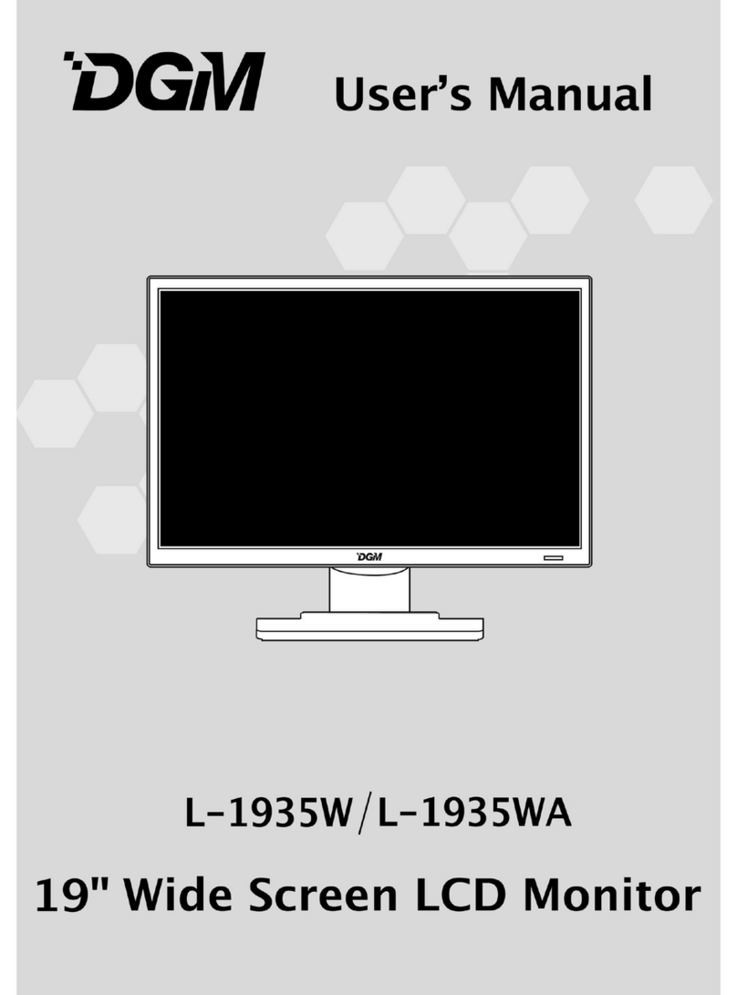 DGM L-1935W User manual