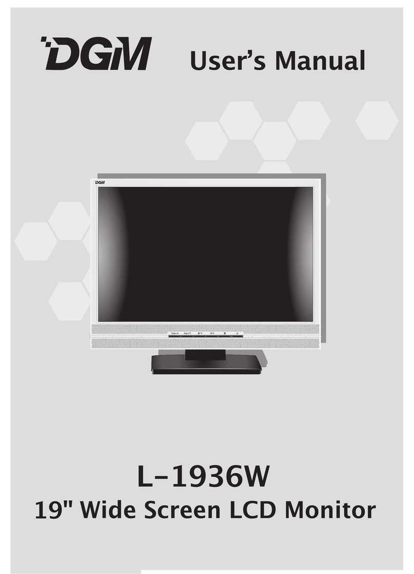 DGM L-1936W User manual