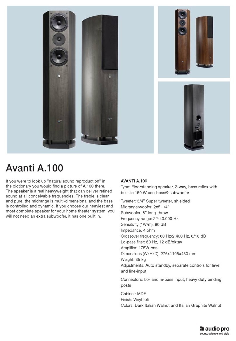 Audio Pro Avanti A.100 Specifications