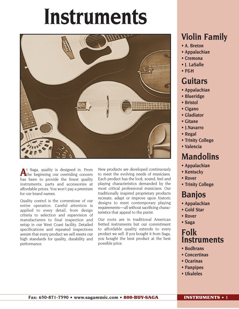 Saga Blueridge BR-143 brochure