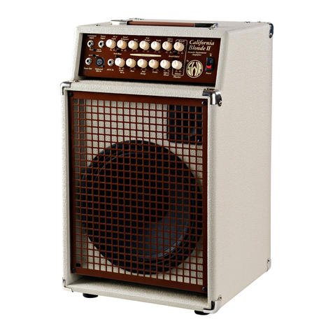 SWR California Blonde II User manual