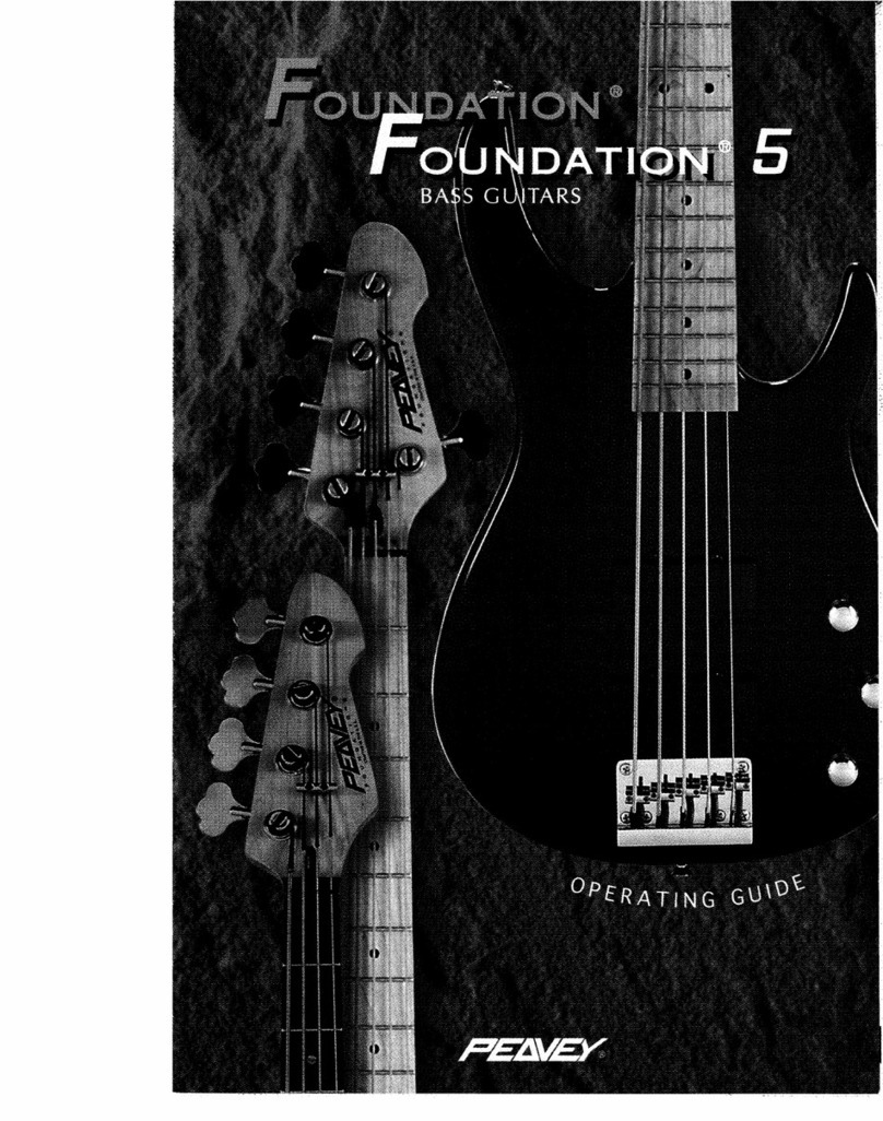 Peavey Foundation 5 User manual