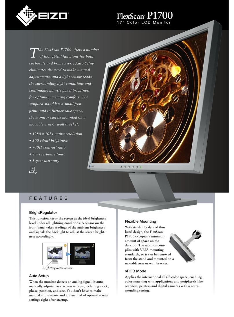 Eizo EIZO FlexScan P1700 User manual