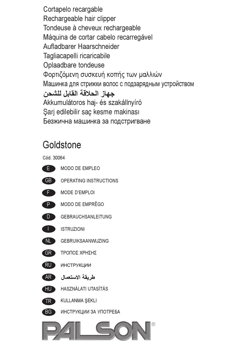 PALSON GOLDSTONE operating instructions
