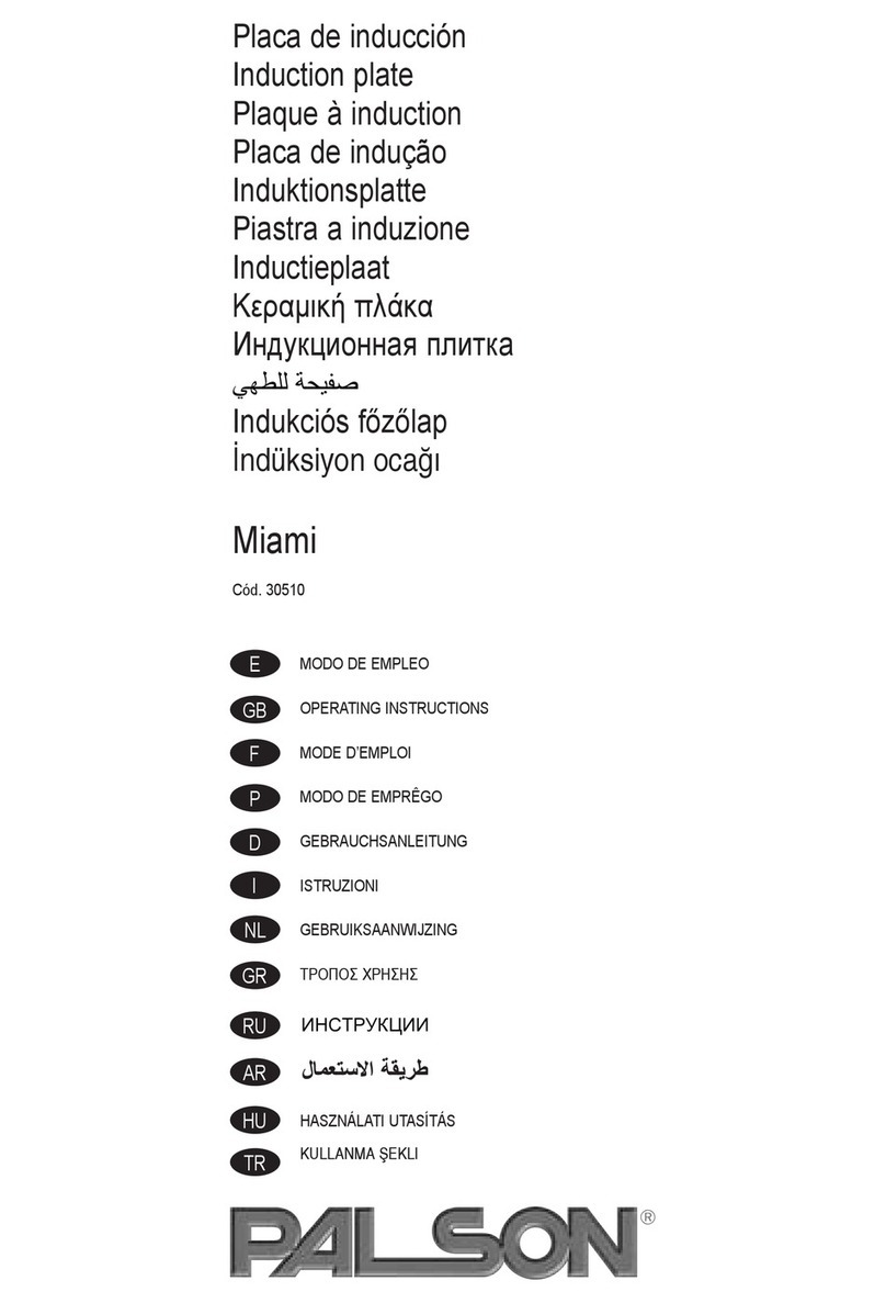 PALSON MIAMI User manual
