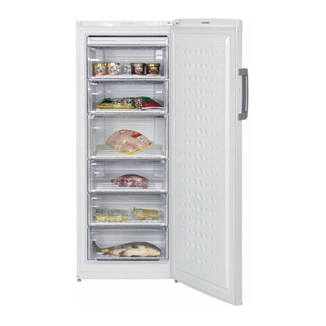 Beko FS225300 Instructions for use