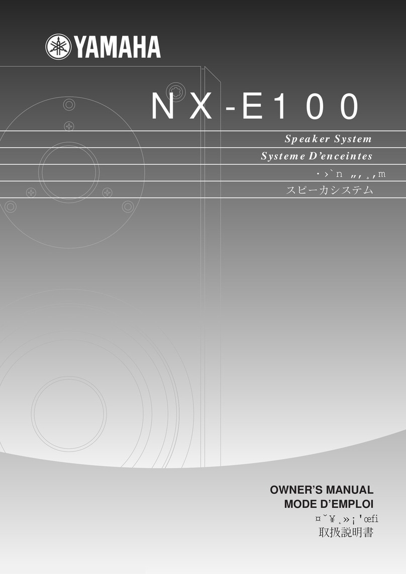 Yamaha NX-E100 User manual